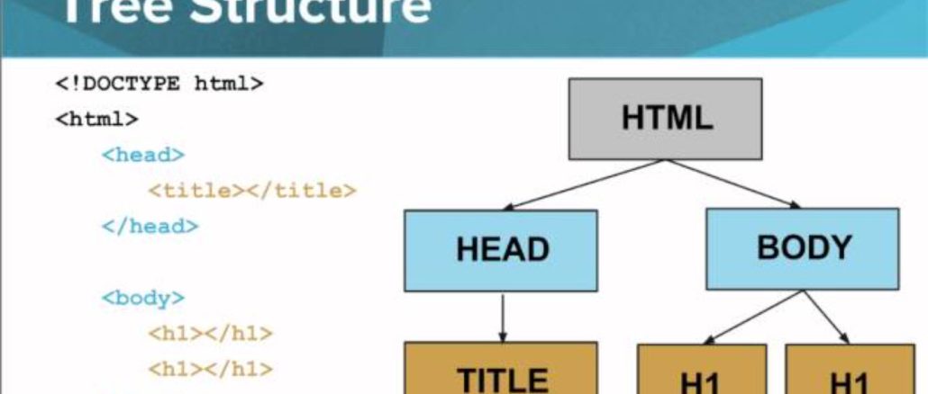 بنية HTML