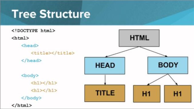 بنية HTML
